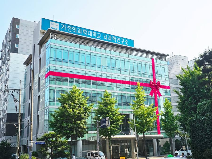 낮에 보이는 대형 리본